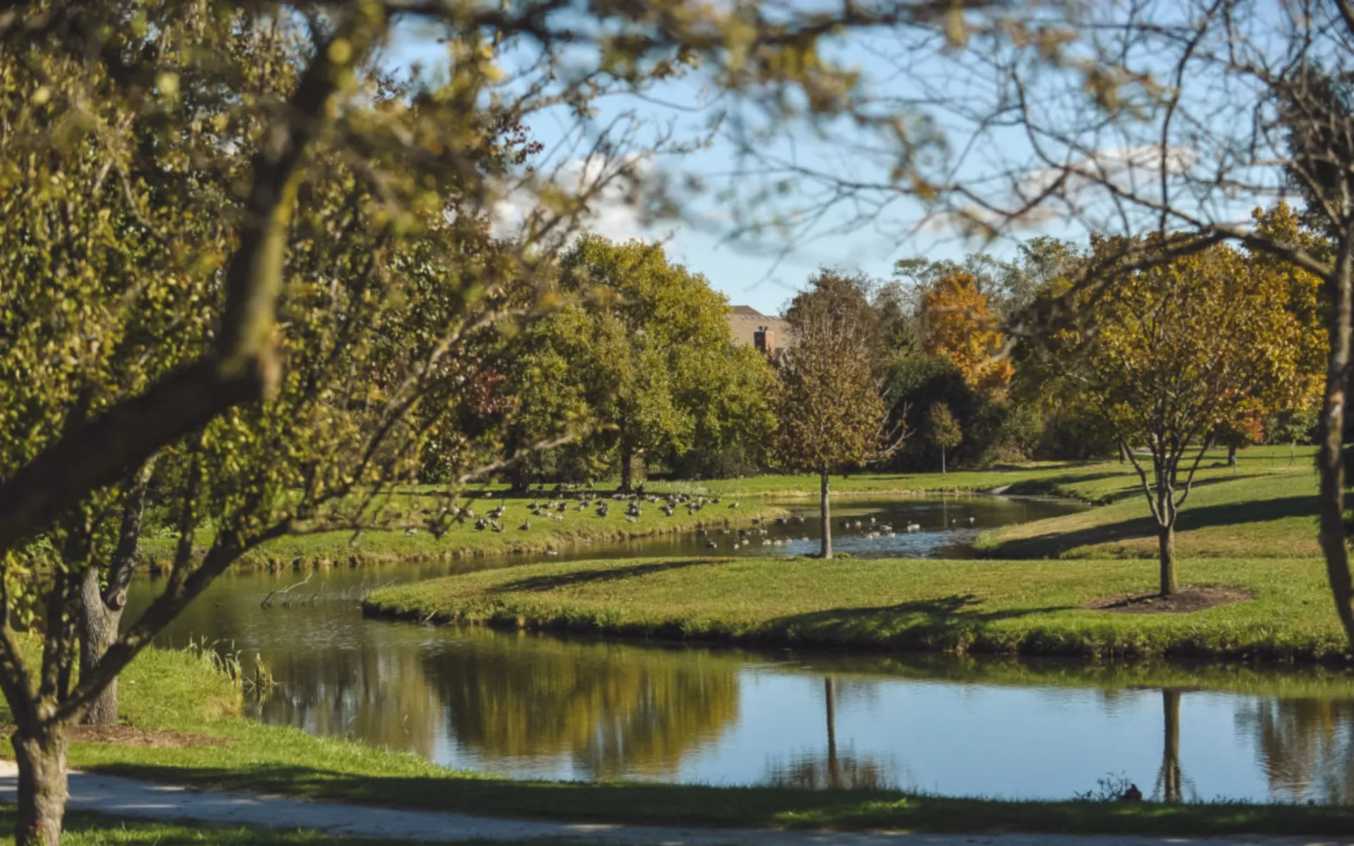 Glen Ellyn neighborhood